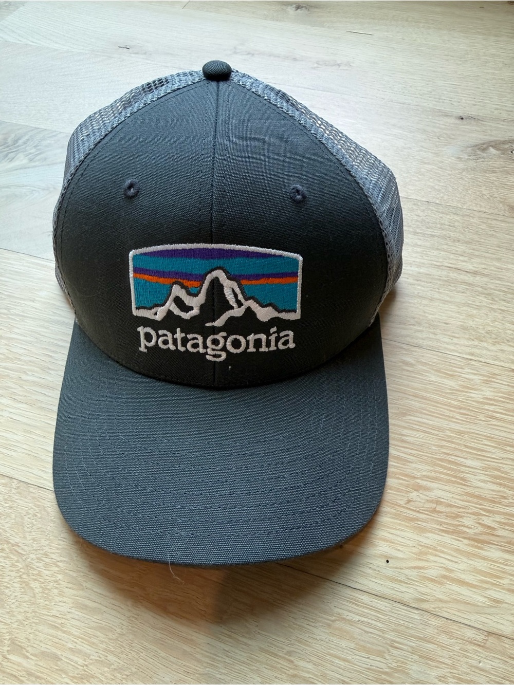Gray Patagonia Trucker Hat - never worn